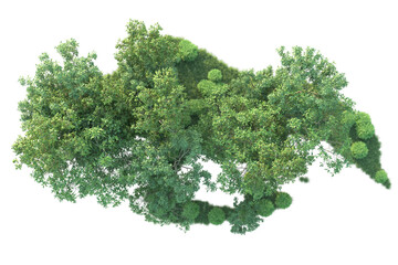 Realistic forest isolated on transparent background. 3d rendering - illustration