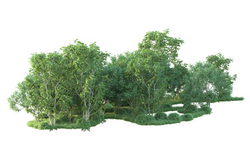 Realistic forest isolated on transparent background. 3d rendering - illustration