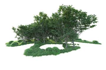 Realistic forest isolated on transparent background. 3d rendering - illustration