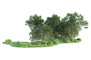 Realistic forest isolated on transparent background. 3d rendering - illustration