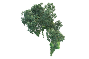 Obraz premium Realistic forest isolated on transparent background. 3d rendering - illustration