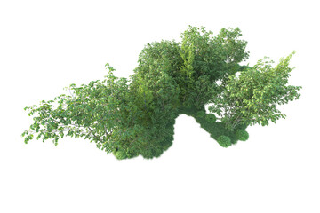 Obraz premium Realistic forest isolated on transparent background. 3d rendering - illustration