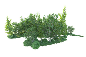 Realistic forest isolated on transparent background. 3d rendering - illustration