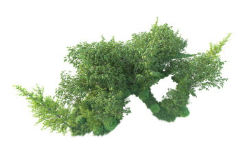 Obraz premium Realistic forest isolated on transparent background. 3d rendering - illustration
