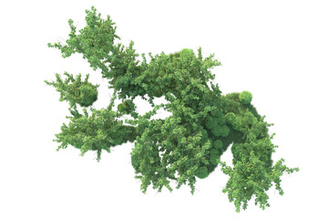 Obraz premium Realistic forest isolated on transparent background. 3d rendering - illustration