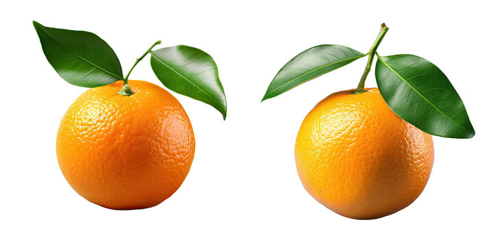 Mandarin orange on a transparent background