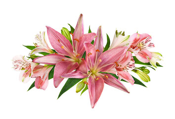 Coral alstroemeria, lily flowers, buds and green leaves in a floral arrangement isolated on white or transparent background