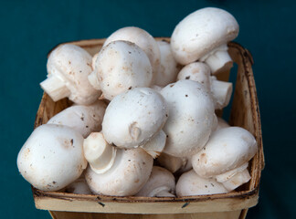 white button mushrooms in wooden pint box on blue background