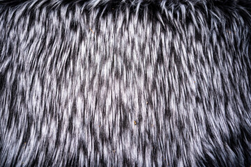 A fuzzy grey carpet background. Texture for the background