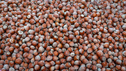 a pile of hazelnuts. Photo of brown and highly textured nuts. Organic and natural nuts.