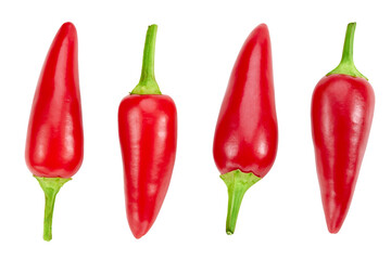 Red chili pepper on a white background