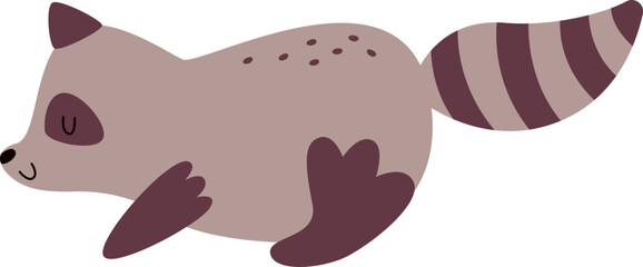 Sleeping Raccoon Animal