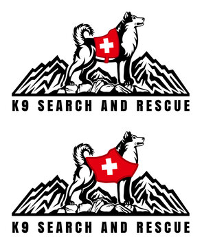 Husky rescue dog with a red harness between the mountains. Search and rescue