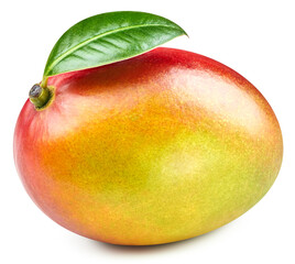 Mango fruit isolated