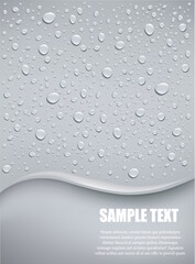 water drops on grey background	 - 645363965