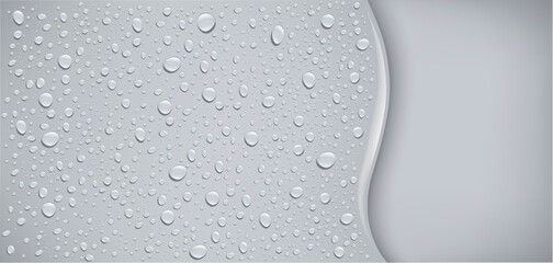 water drops on grey background
- 645363981