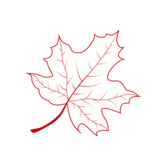 Hand drawn maple leaf outline. Maple leaf in red line art isolated on white background.