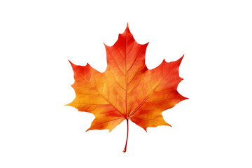 Rustic Maple Leaf Isolated on Transparent Background. Generative Ai.