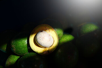Fresh Avocados fruit on nature background.