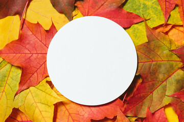 Blank paper round card mockup with autumn fallen leaves border frame. Autumn mood, colorful template, variegated foliage. Flat lay, top view, copy space.