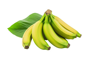 Greenish Bananas Isolated on Transparent Background. Generative Ai.