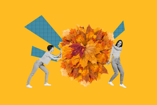 Collage image of two black white effect excited cheerful girls push big collection fallen maple leaves isolated on orange background