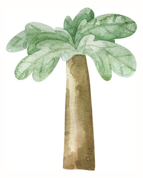 watercolor green palm tree illustration, cute childish isolated clipart.  Cute kids design, sticker, print