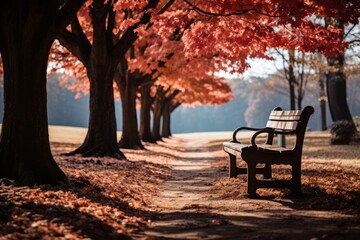 Rustic Wooden Bench Framed By Trees, Generative AI
