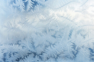 Chilled Beauty: The Intricate World of Frost Patterns