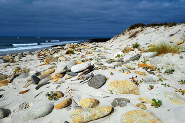Sandstrand an der spanischen Atlantik-Küste (Punta Lariño, Galizien) // Sandy beach on the...