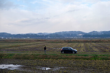 : In the heart of Japan's picturesque countryside, a man pauses his car near a sprawling expanse of vibrant green rice fields. Mesmerized by the breathtaking beauty of the landscape,