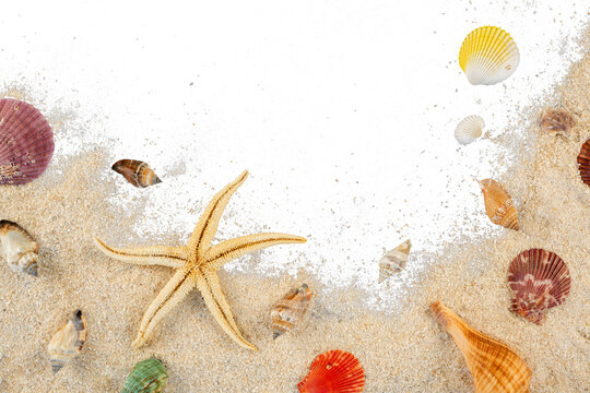 beach sand frame with starfish and shell