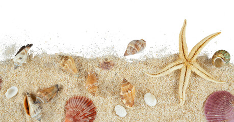 shells on sand border isolated