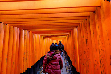 Senbon Torii: Thousands of Torii Gates at Fushimi Inari Shrine