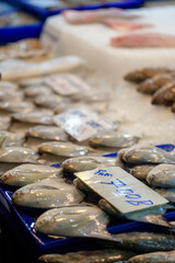 Gleaming Delicacy: Fresh Pomfret on Ice at Thailand Seafood Market with Price Sign 700 baht