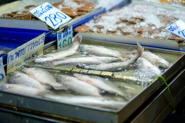 Fresh and Finned: Live Asian Seabass on Display at Thailand Seafood Market with Price Sign 280 baht