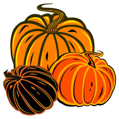 Autumn pumpkins. Orange and black color autumn vegetable Digital illustration. Template for thanksgiving, card, sticer, halloween