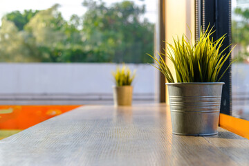 Green grass plant in pot on white table. Front view. Place for text, copy space, mockup