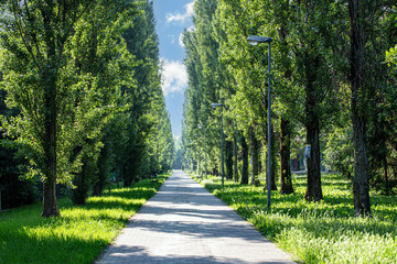 footpath in the park