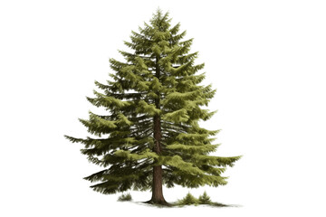 Stately Fir Tree Isolated on Transparent Background. Generative Ai.
