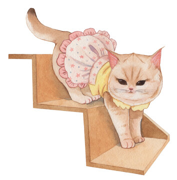 Adorable Cat Drawings: Charming Feline Artwork in a Delightful Array of Colors, Perfect for Coloring, Crafting, and Creative Projects with Colored Pencils