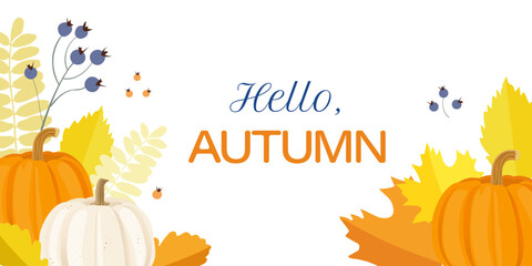 Autumn banner with pumpkins, autumn berries and orange leaves isolated on a white background. Vector illustration.