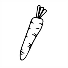 Carrot, silhouette. Coloring book design. Vector hand-drawn doodles. Black and white illustrations isolated on a white background.