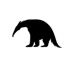 Black silhouette of an anteater