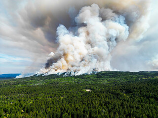Giant fire in the Canadian forest, top aerial view of a fire in the forest. Ecological catastrophy....