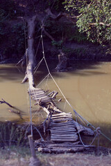 Naklejka premium A homemade wooden bridge built over a river with railings made of ropes. Boards nailed to base of fallen tree trunk