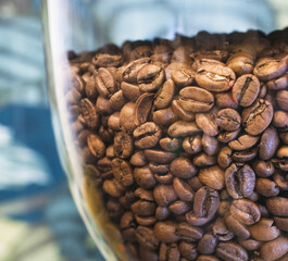 Coffee beans closeup