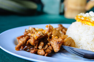 Fried Pork with Garlic Pepper on Rice, Thai street food, closeup image.