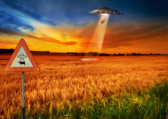 Cow abduction, ufo and spaceship light in countryside for mission, science fiction and fantasy in sky. Spacecraft, field and flying saucer from outer space for invasion, futuristic and mystery © Valerie M/peopleimages.com