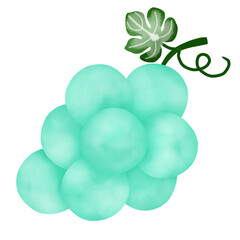 fruit, grape, food, grapes, isolated, red, bunch, wine, vine, ripe, leaf, berry, fresh, sweet, white, healthy, cluster, green, juicy, purple, agriculture, nature, branch, illustration, harvest